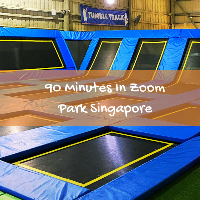 zoom travel singapore